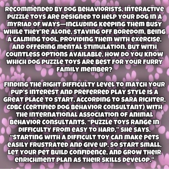 PUZZLE TOY *PAW SHAPE *DOG *CAT *IQ GAME *PUZZLE *HOST PICK *NWT - Picture 7 of 17